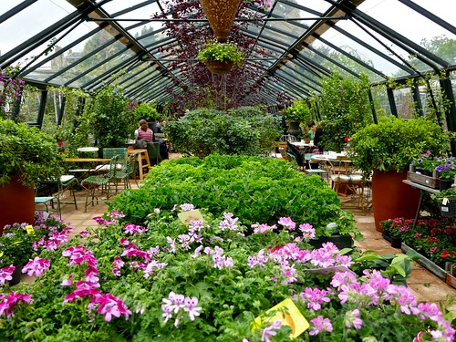Best Garden Centers and Nurseries near Salt Lake City